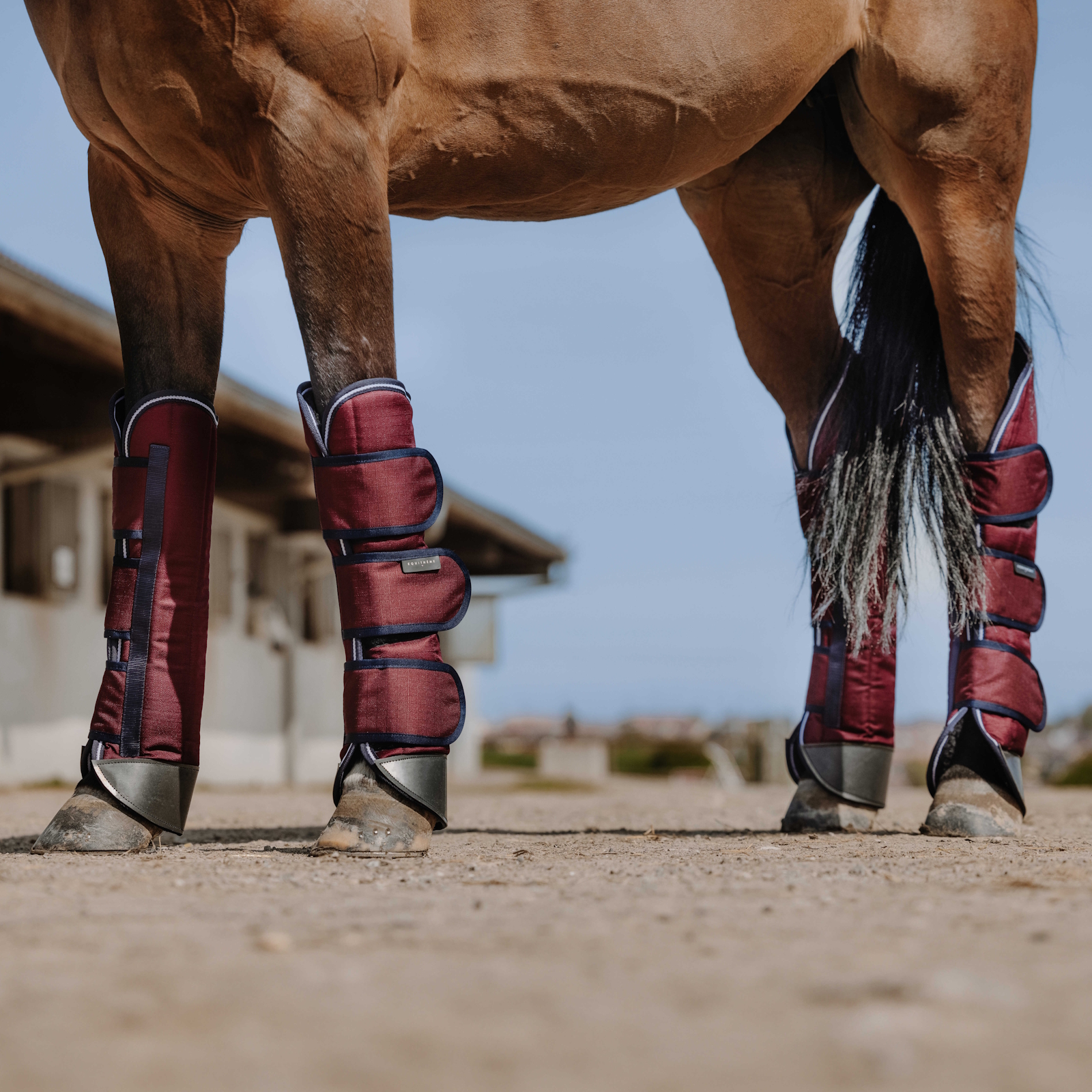 Kelioninės apsaugos žirgams EQUITHÈME TYREX (tamsiai raudonos)