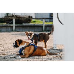 Petnešos šunims RIDING WORLD SIMBA (tamsiai mėlynos) - Image 4