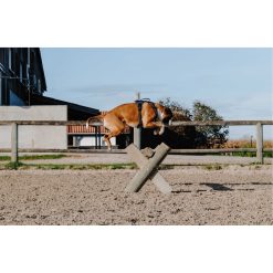 Petnešos šunims RIDING WORLD SIMBA (tamsiai mėlynos) - Image 6