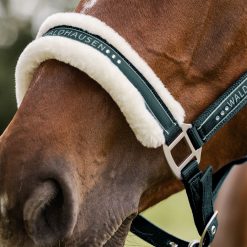 Kantaras su kailiuku žirgams WALDHAUSEN ELEGANT (žalias) - Image 4